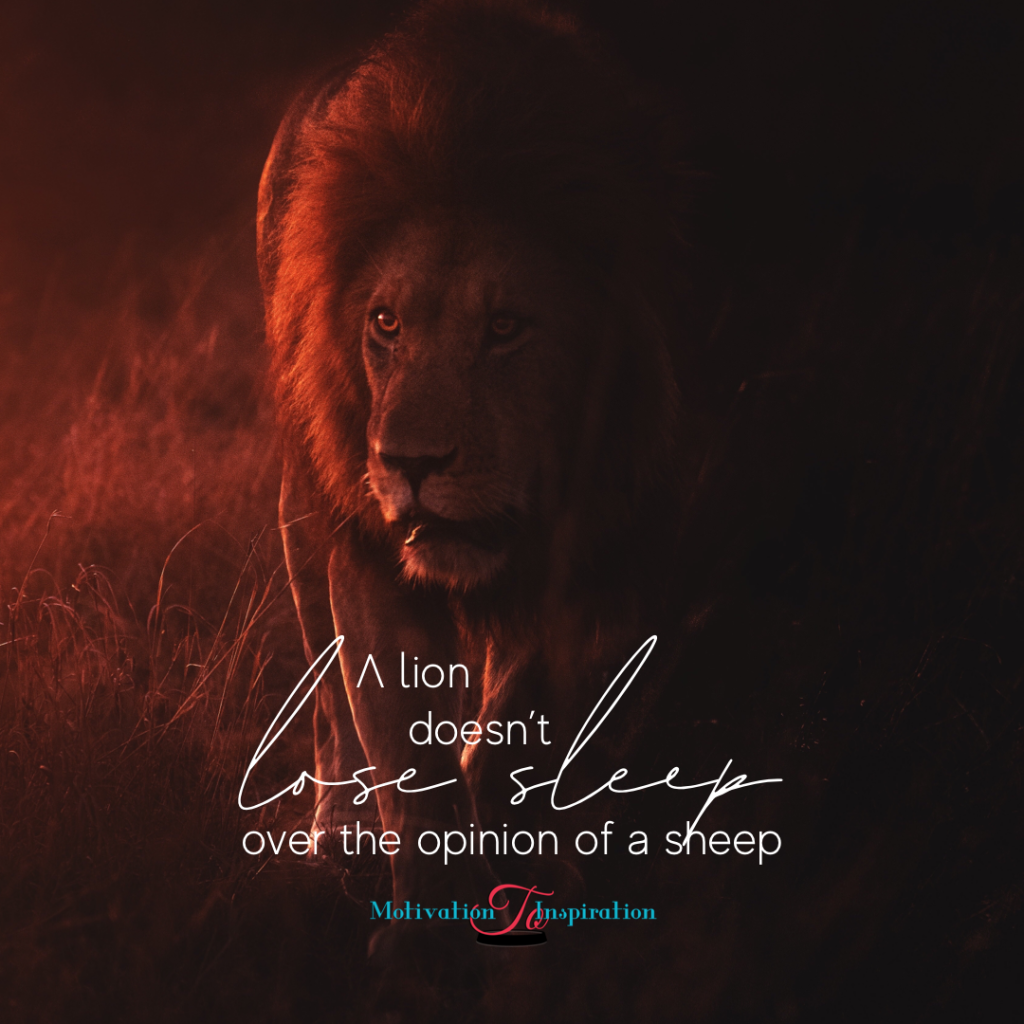 Picture of: A lion does not lose sleep over the opinion of a sheep  Spiritual