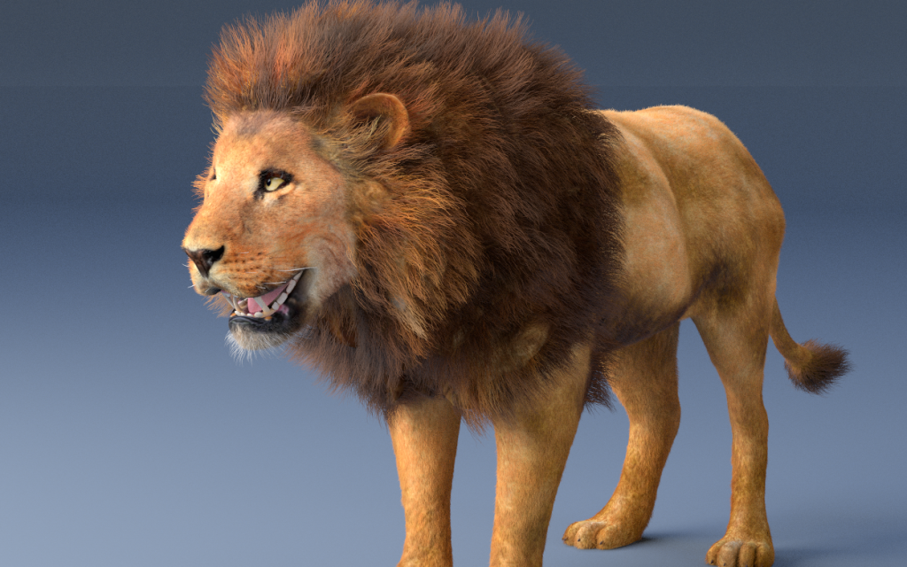 Picture of: african lion hair fur rigged low poly animal D-Modell in Katze