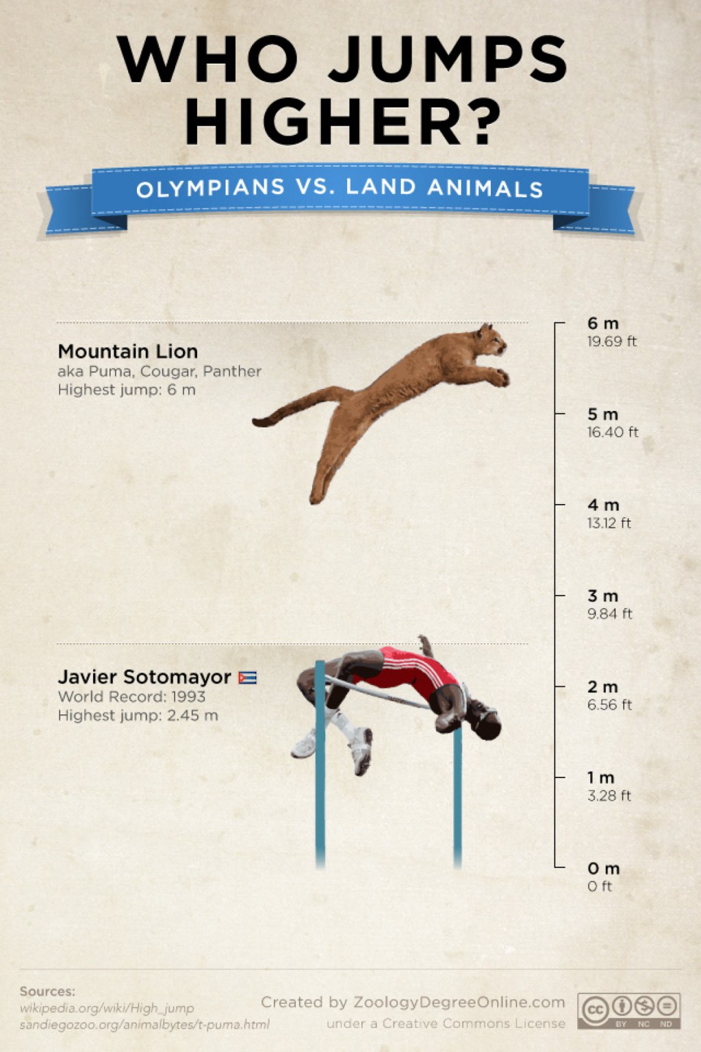 Picture of: Animals Vs Olympians – Who Jumps Higher?  Visual
