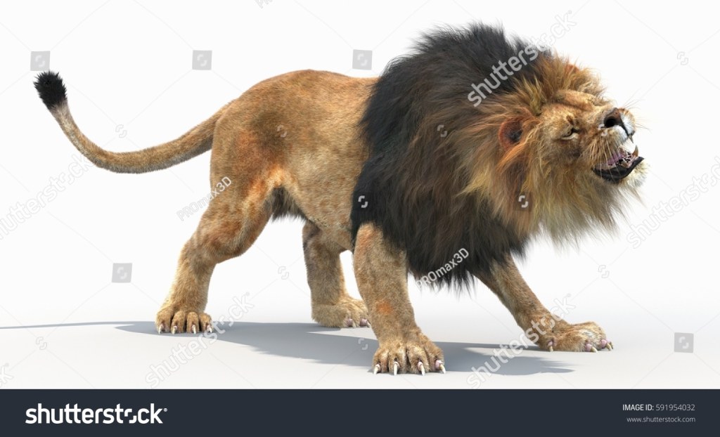Picture of: Lion Defense Pose d Stock Illustration 59195402  Shutterstock