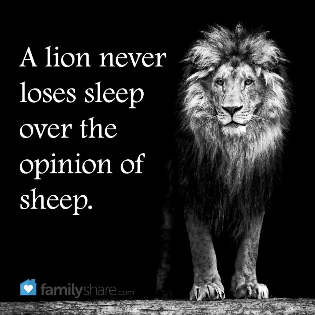 Picture of: Pin by Marilu Jasso-Gallardo on POWERFUL  Lion quotes, Lions dont