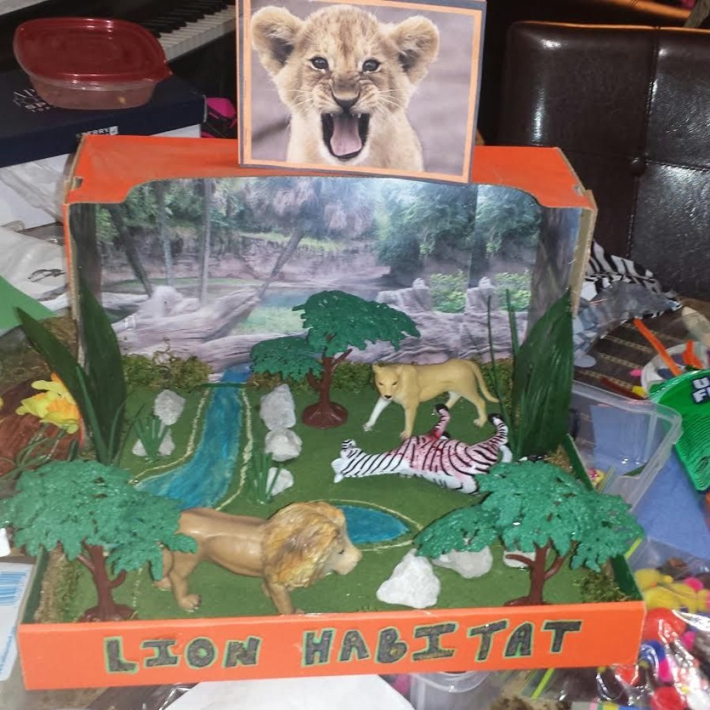 Picture of: rd Grade Lion Diorama Project for the Lion Habitat
