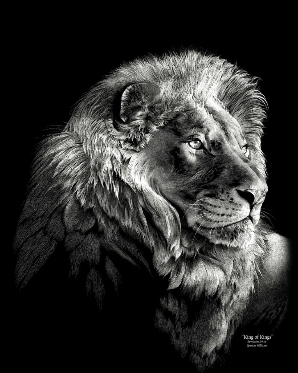 Picture of: scratch board lion art